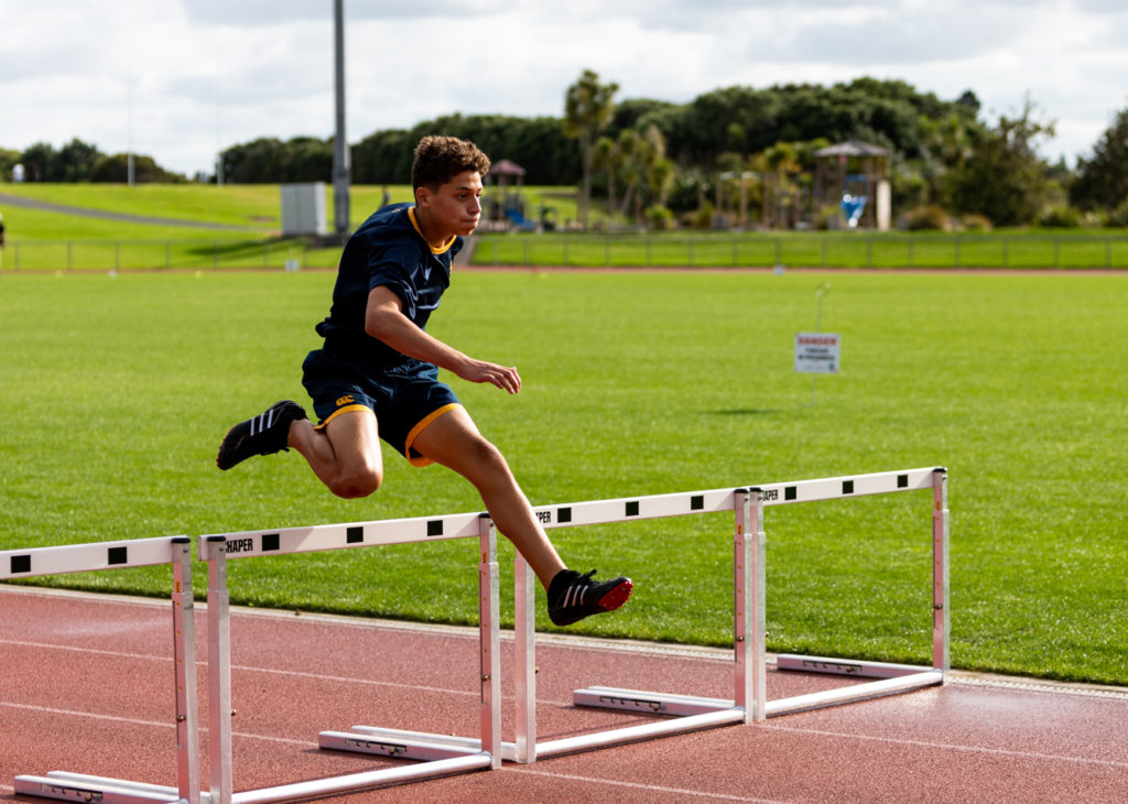 The junior hurdles