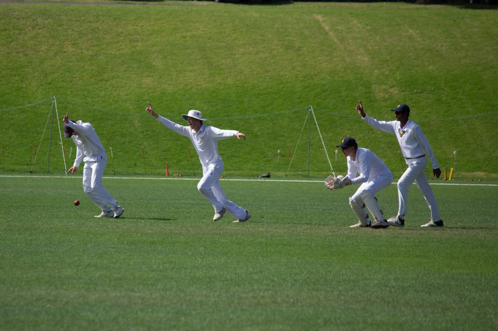 The 1st XI Cricket team celebrate after getting a wicket